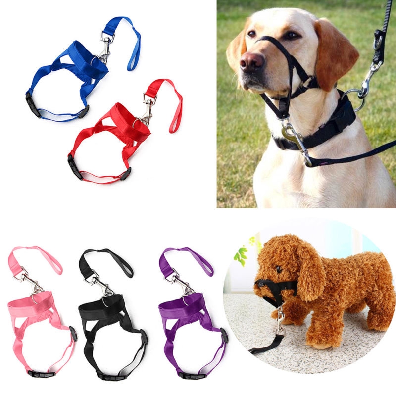 muzzle leash