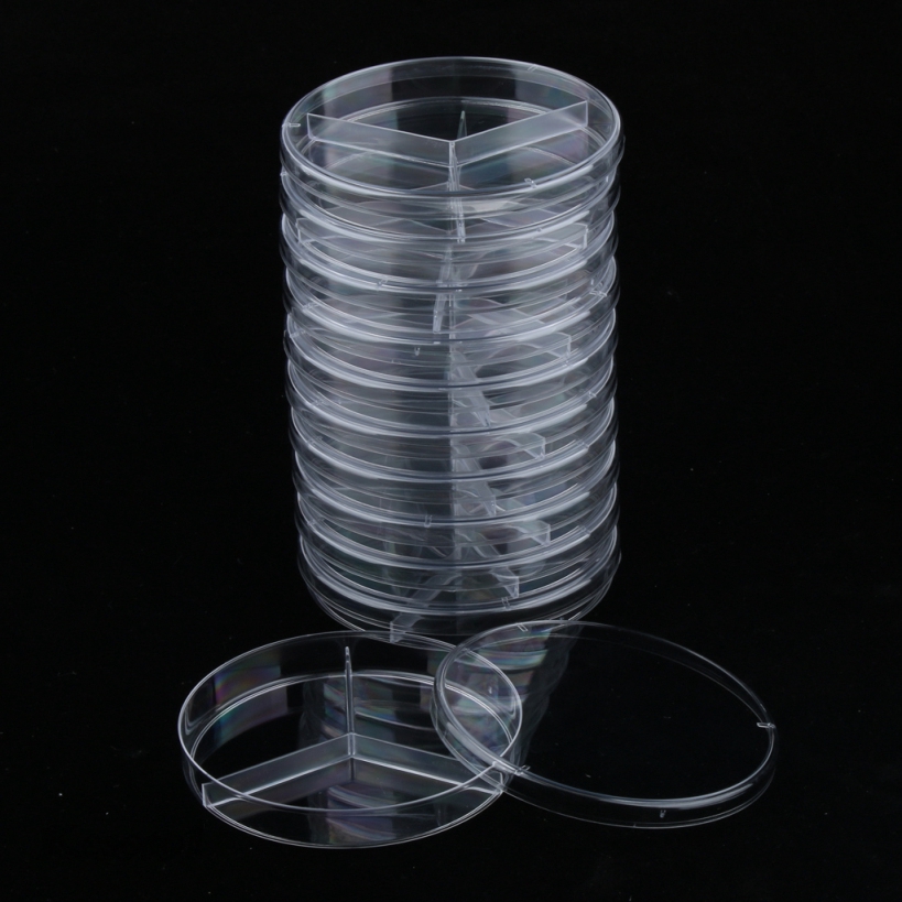 Kesoto1 10 Pcs Plastic Petri Dishes Sterile Culture Dish With Lid High Clearness Shopee Indonesia