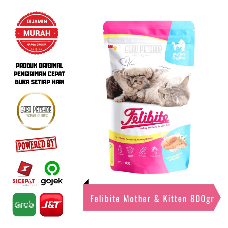 Felibite Mother And Kitten 800gr Freshpack Felibite Kitten 800gr