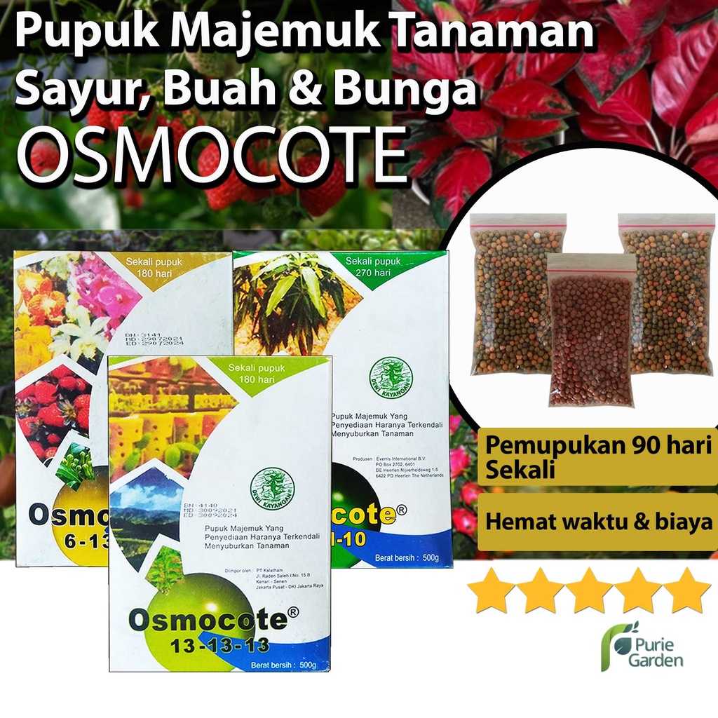 Osmocote Dekastar 17-11-10 Dekastar 6-13-25 Dekastar 13-13-13 Pupuk Buah Tanaman Hias Sayuran 50gr PG KDR