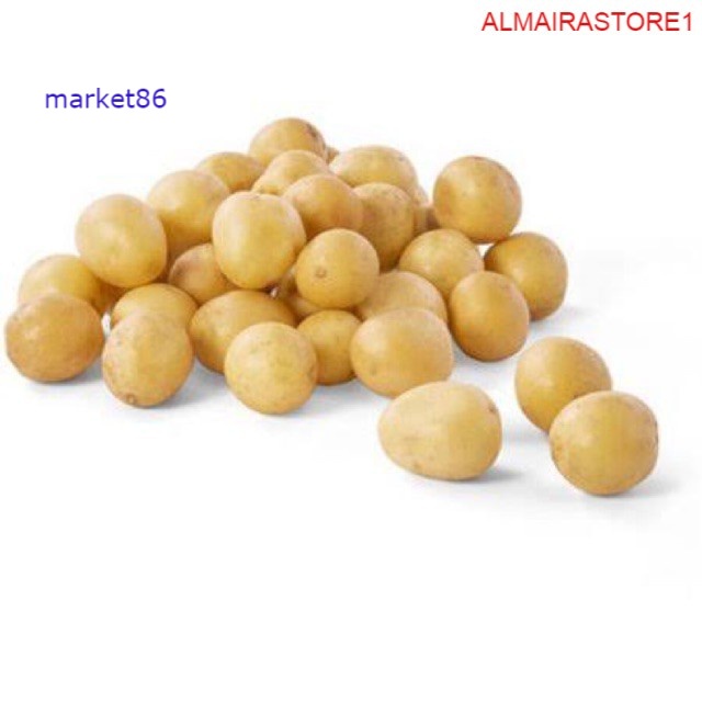 

Grosir Sayur Sayuran Segar FRESH Kentang Baby 250 Gram murah - Market86