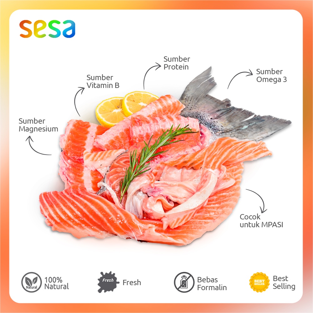 Bone &amp; Belly Salmon Trout Fresh 500 g