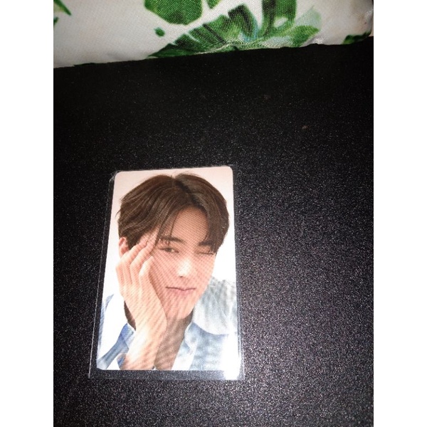 HARUTO PC MANYO WINK