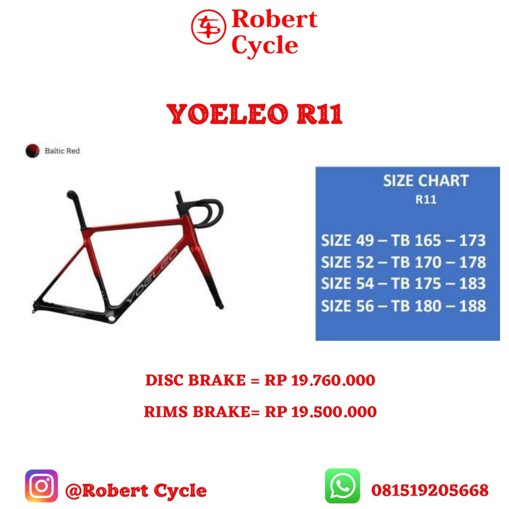 FRAMESET YOELEO R11 SUPER LIGHT DISC BRAKE