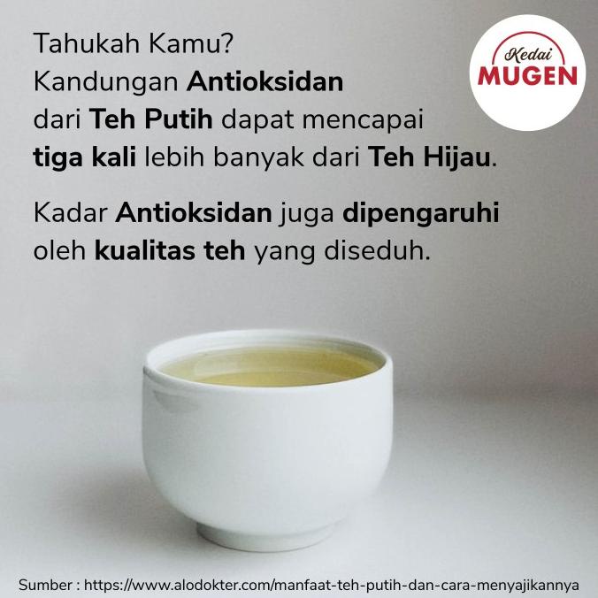 

Premium White Tea Silver Needle/Teh Putih Kualitas Ekspor 50g
