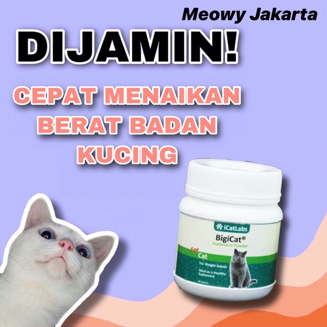 SUPLEMEN NAFSU MAKAN KUCING BIGICAT VITAMIN KUCING PENGGEMUK KUCING