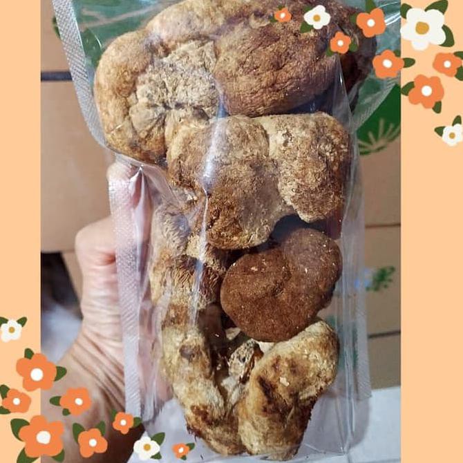 

Bumbu & Bahan Masakan Jamur Houtougu|Monkey Head Mushroom |H. Erinaceus|Jamur Lions Mane Rempah