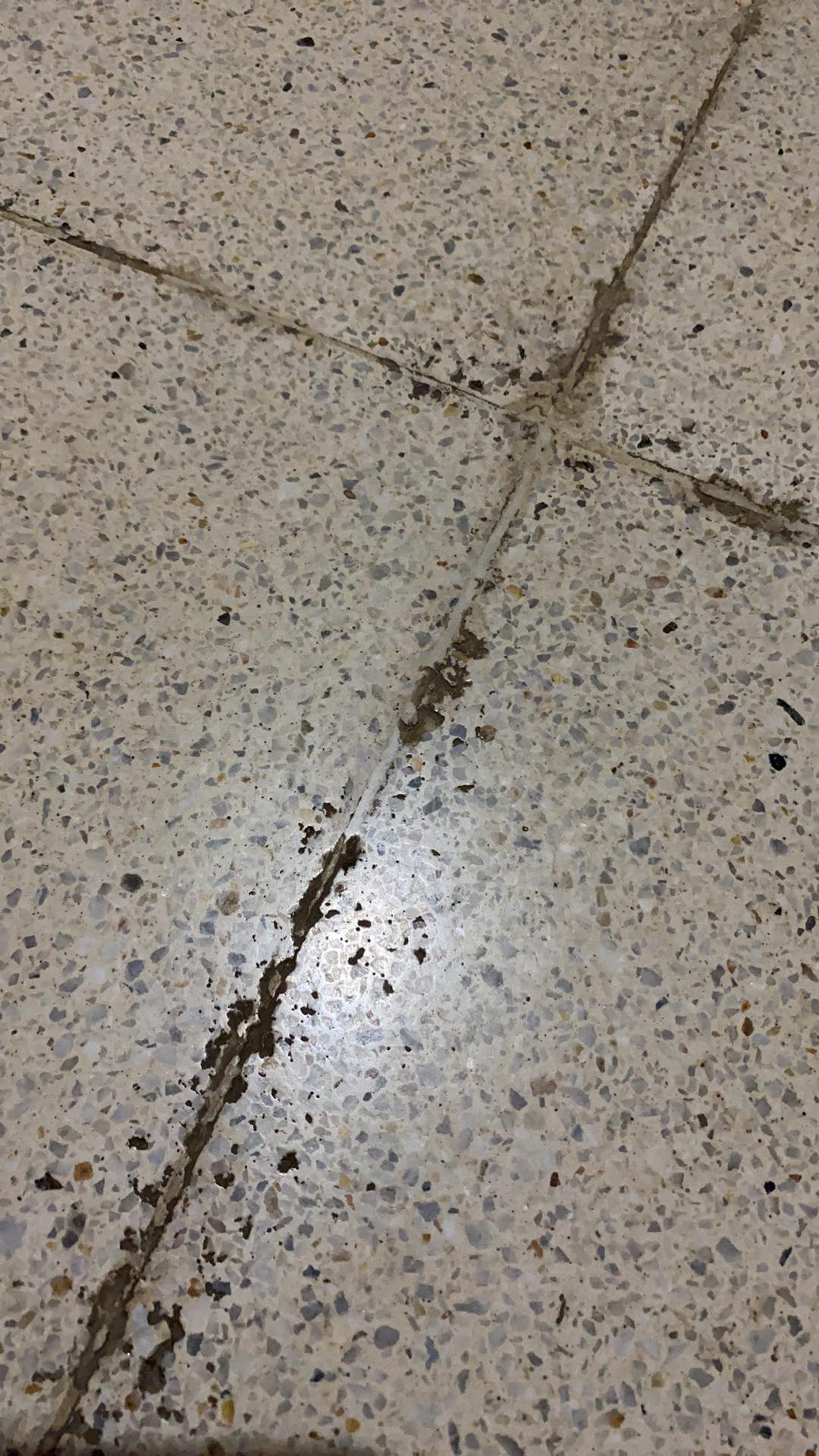 Racun Tikus Petrokum