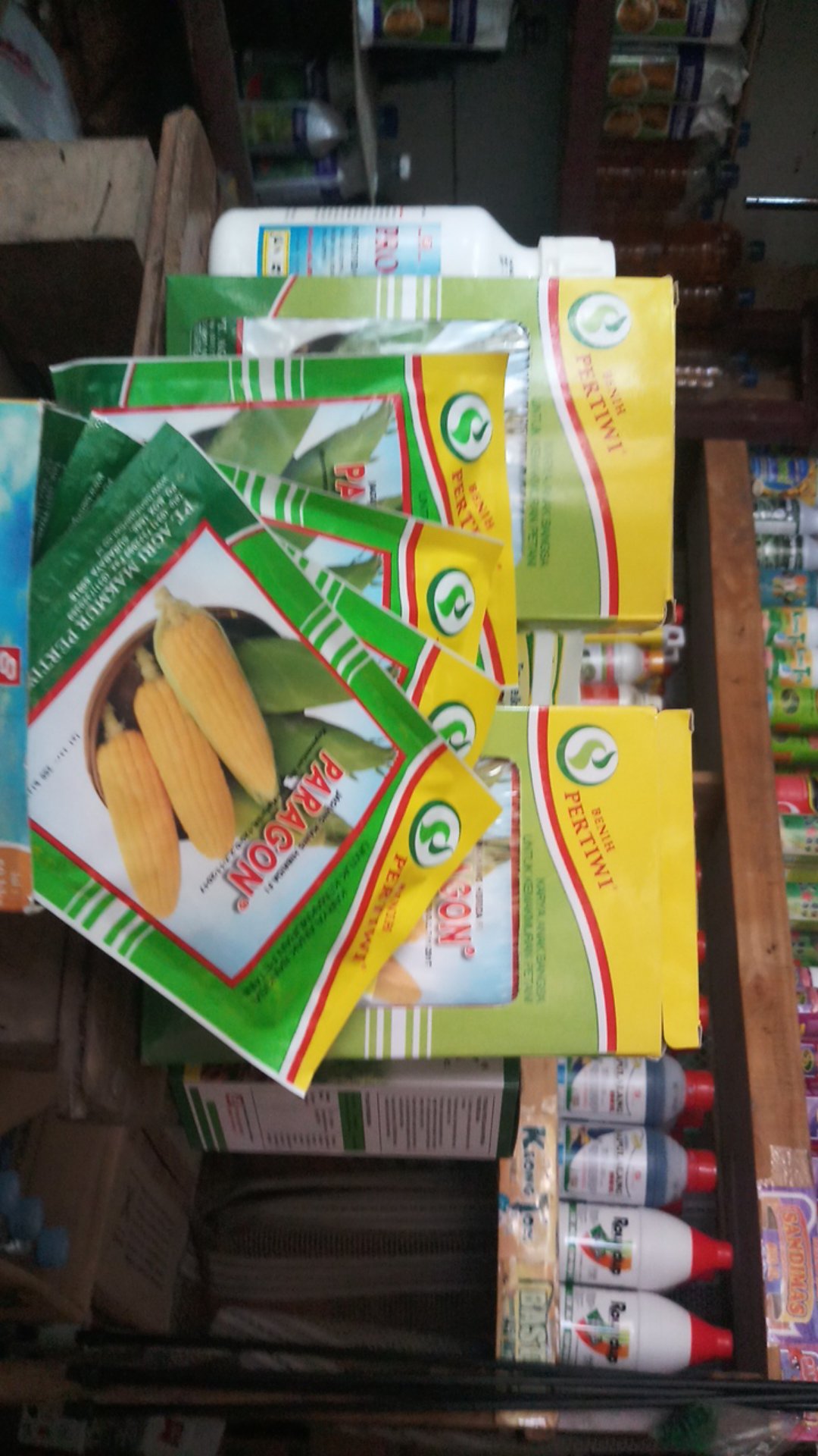 Benih Jagung Manis Hibrida F1 Paragon 200biji