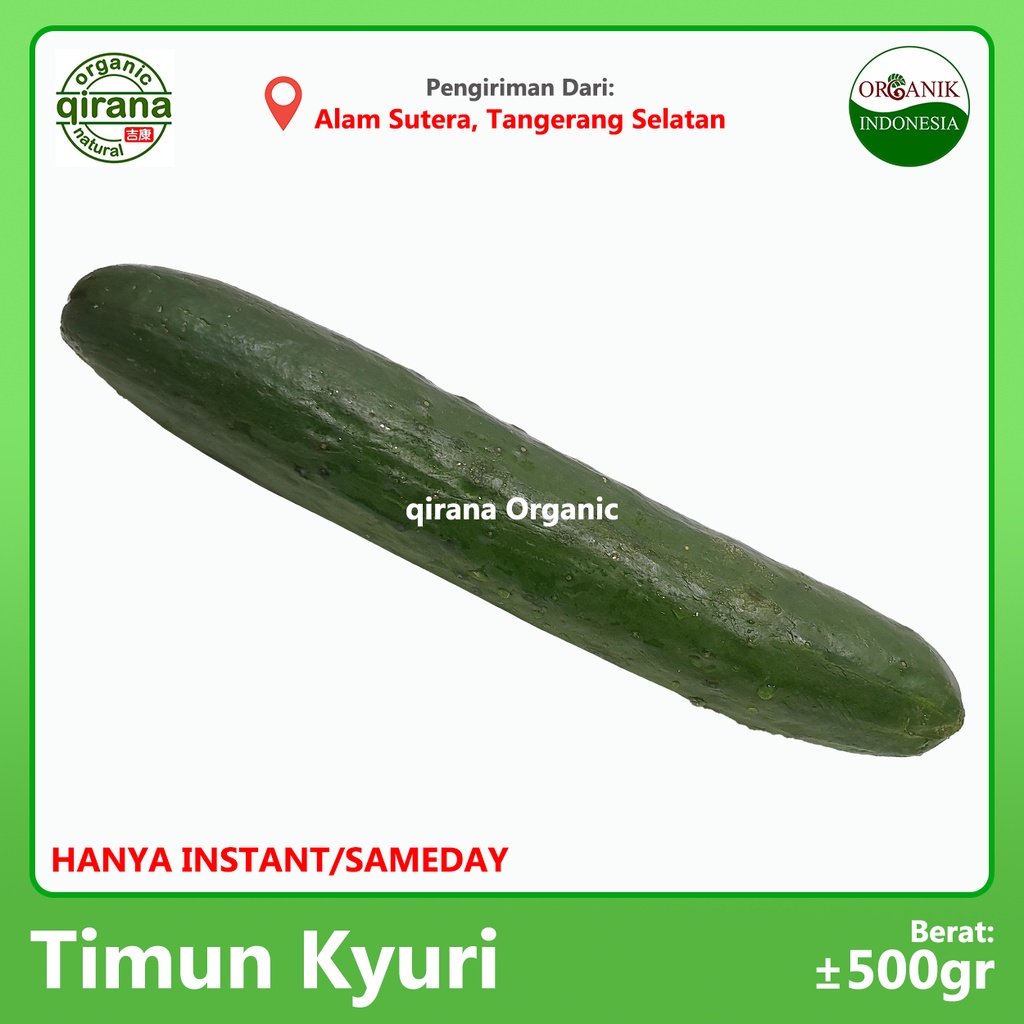 

TIMUN KYURI Organik ~500g