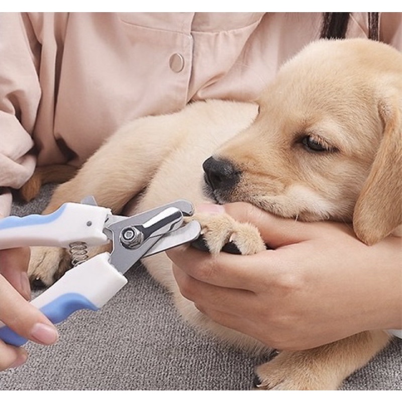 pemotong gunting kuku hewan anjing kucing kelinci pet dog nail clipper