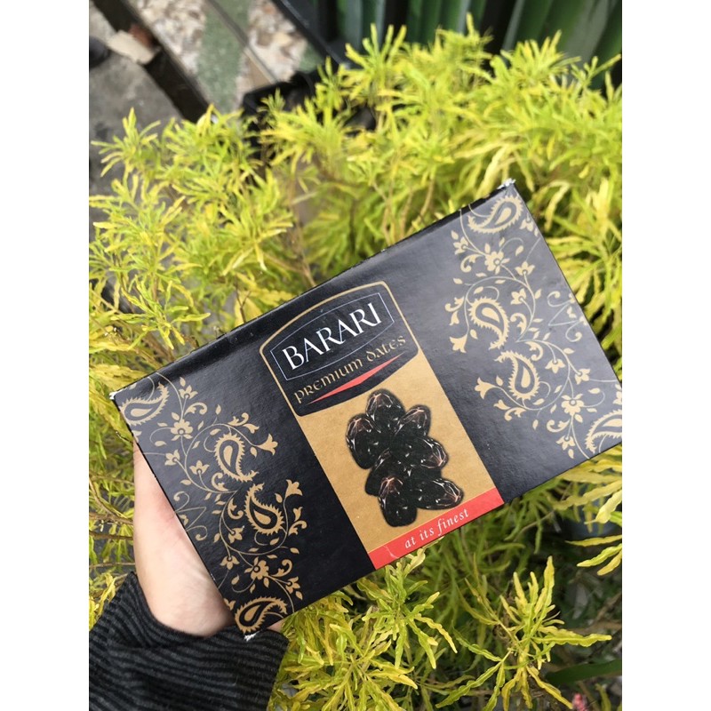 

kurma barari, kimi, al qasim, sukari, ajwa