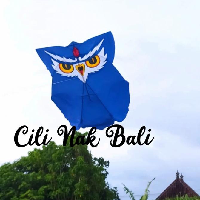 :>:>:>:>] Layangan Celepuk Layangan Bali Layangan Murah Mainan Anak 1m Cutting