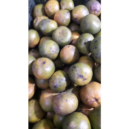 

jeruk manis pontianak 1kg