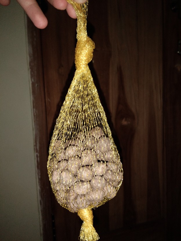 Bibit Porang Dorman | Katak Super Mini 700/ Biji