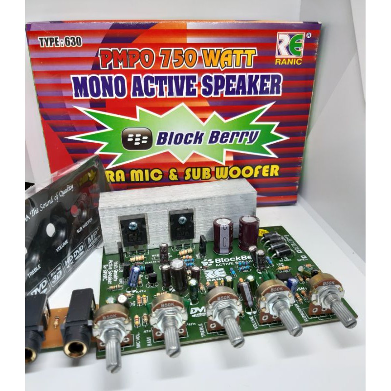 MONO AKTIVE SPEAKER RANIC TYPE 630