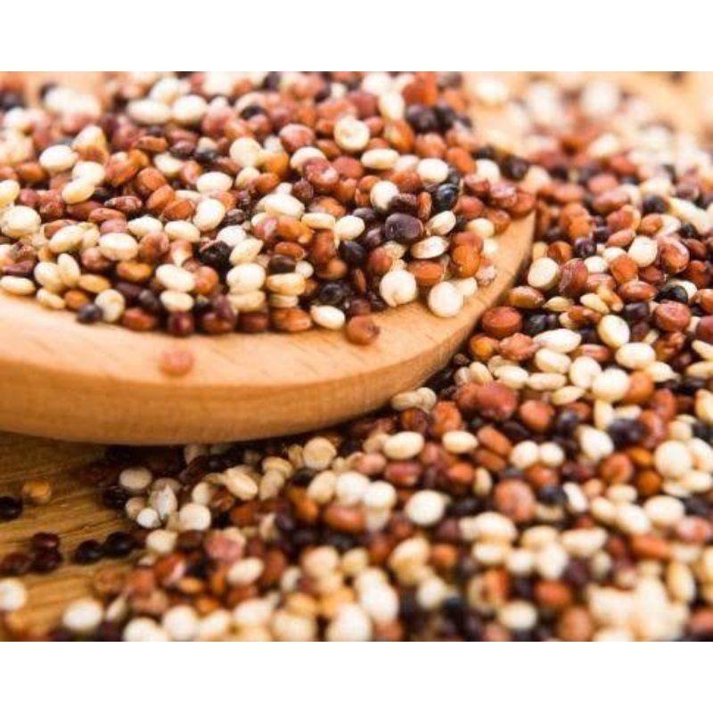 Organic Tricolour Quinoa 100 Gram/ White Red Black Quinoa Premium/ Quinoa Tricolor Organik/ Kinoa 3 warna/ Quinoa 3 warna