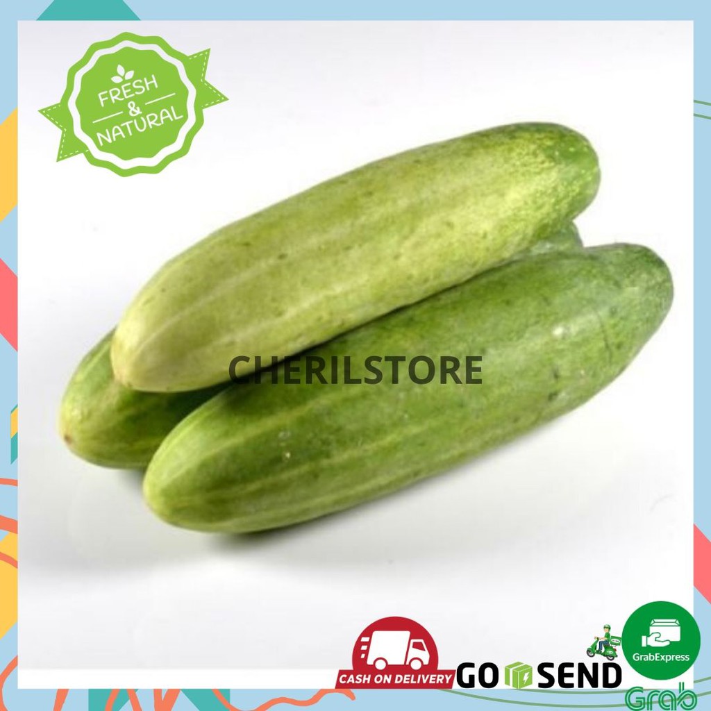 TIMUN MENTIMUN CUCUMBER SAYUR SAYURAN FRESH