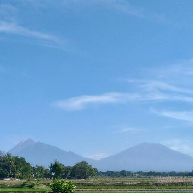 yuniis71