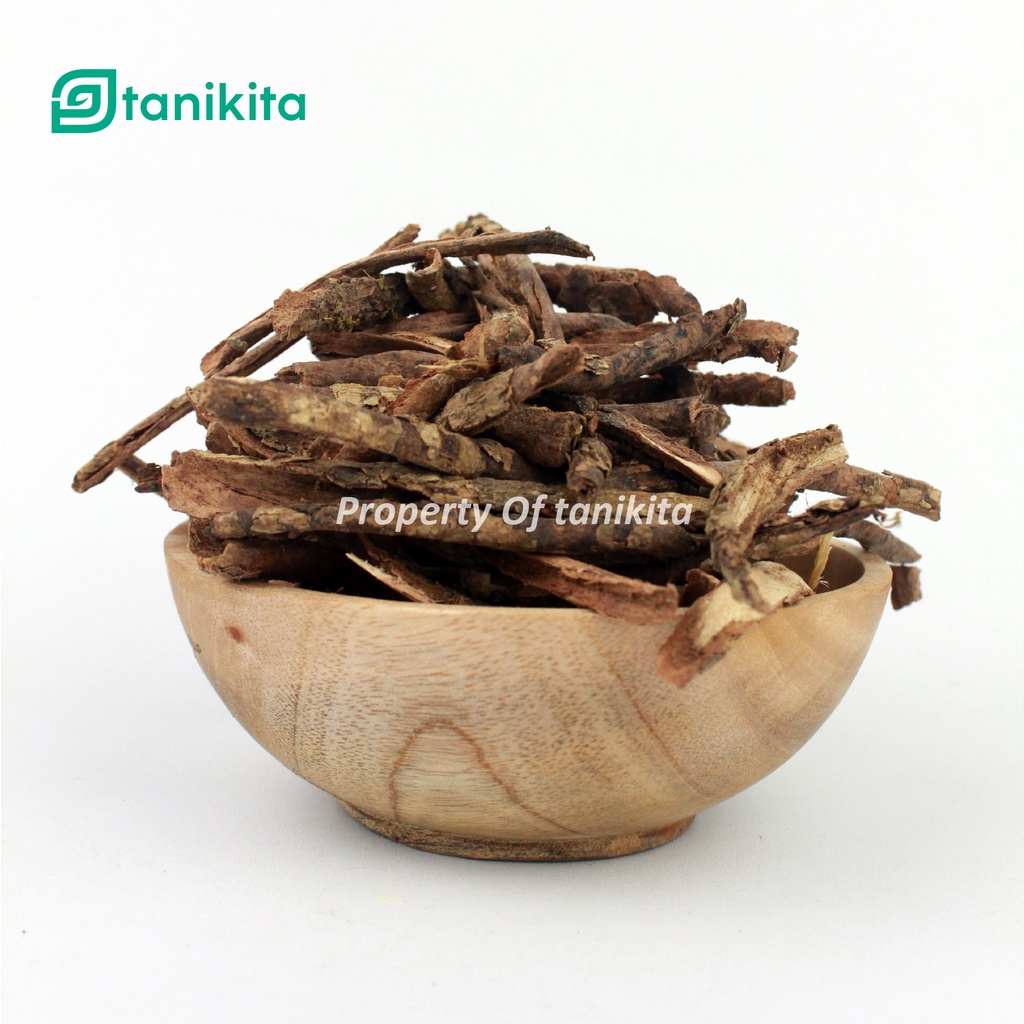 

Kayu Rapet Kering 500gr - Herbal Kayu Rapet Asli Kualitas Bagus