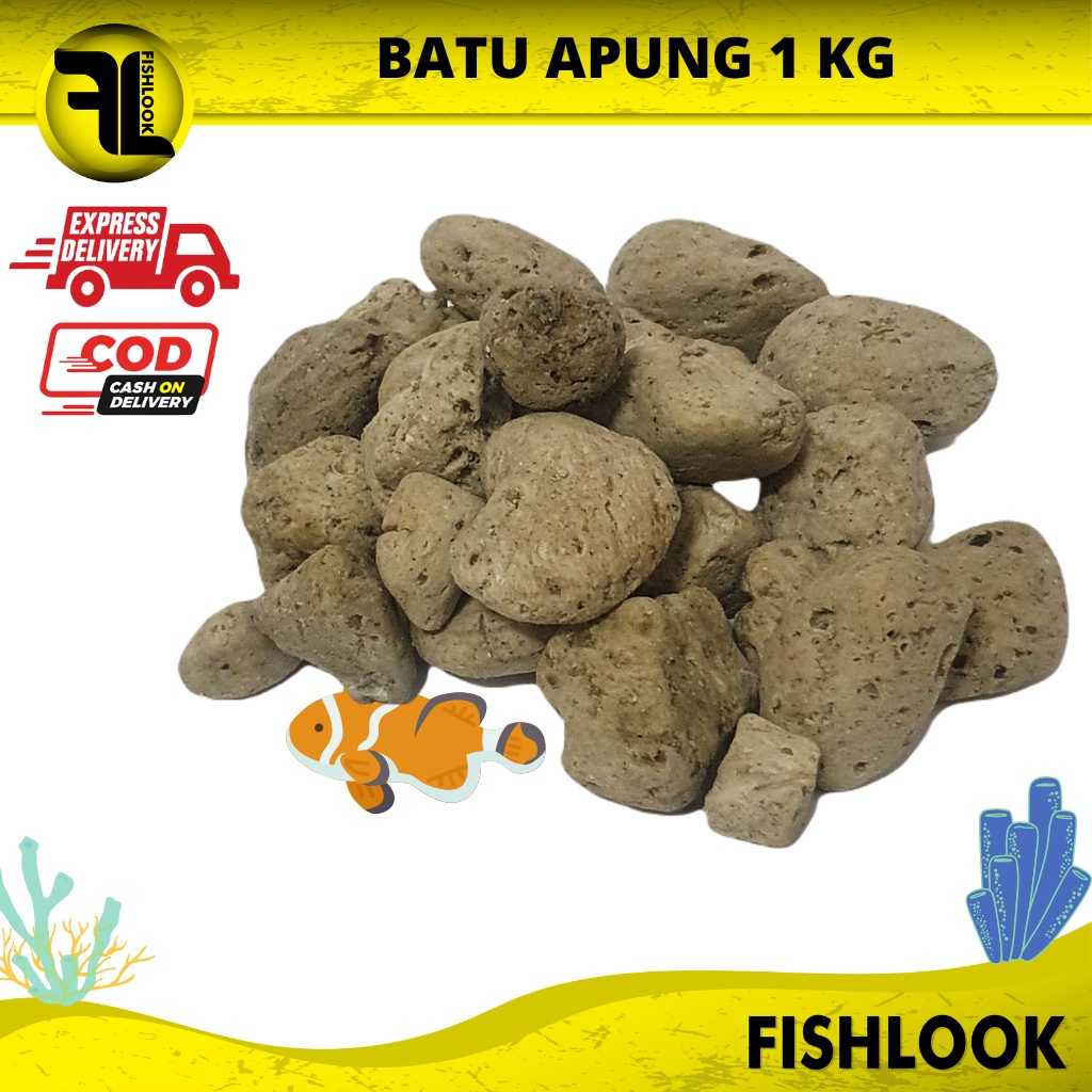 BATU APUNG 1Kg AQUASCAPE PUMICE PUMIS MEDIA FILTER RUMAH BAKTERI AQUARIUM