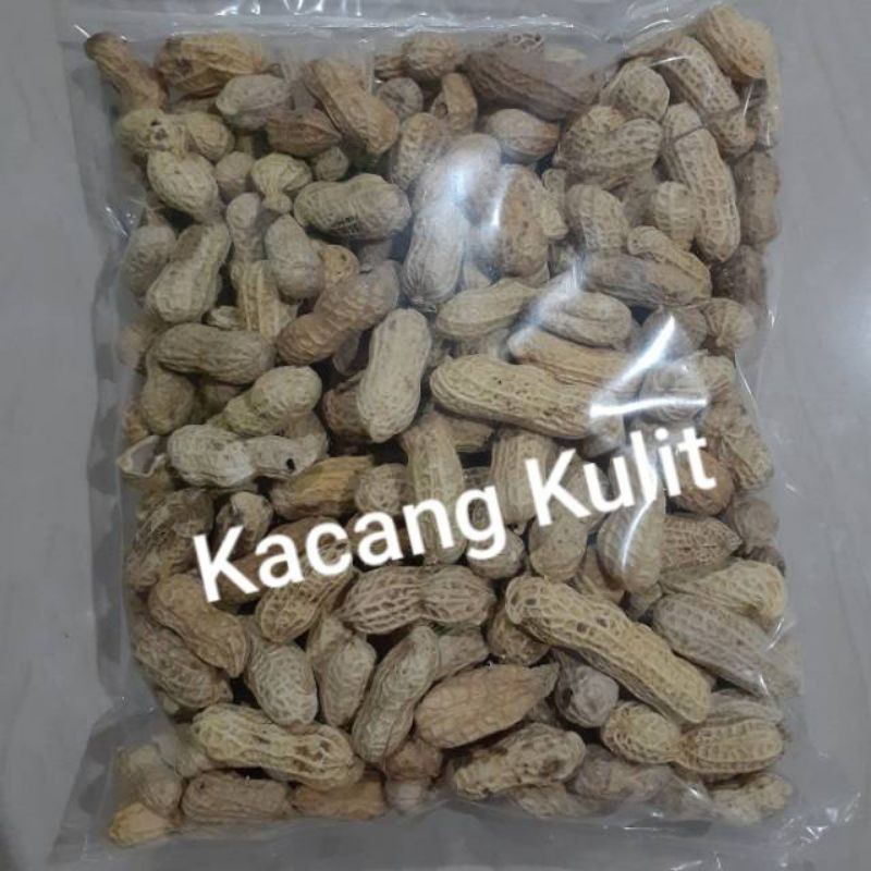 

KACANG KULIT ASIN 500 GR