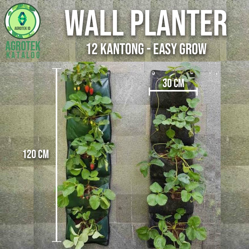 Planter Wall Vertikal Garden Kantong Tanaman Tempel Tembok 5 Kantong Easy Grow