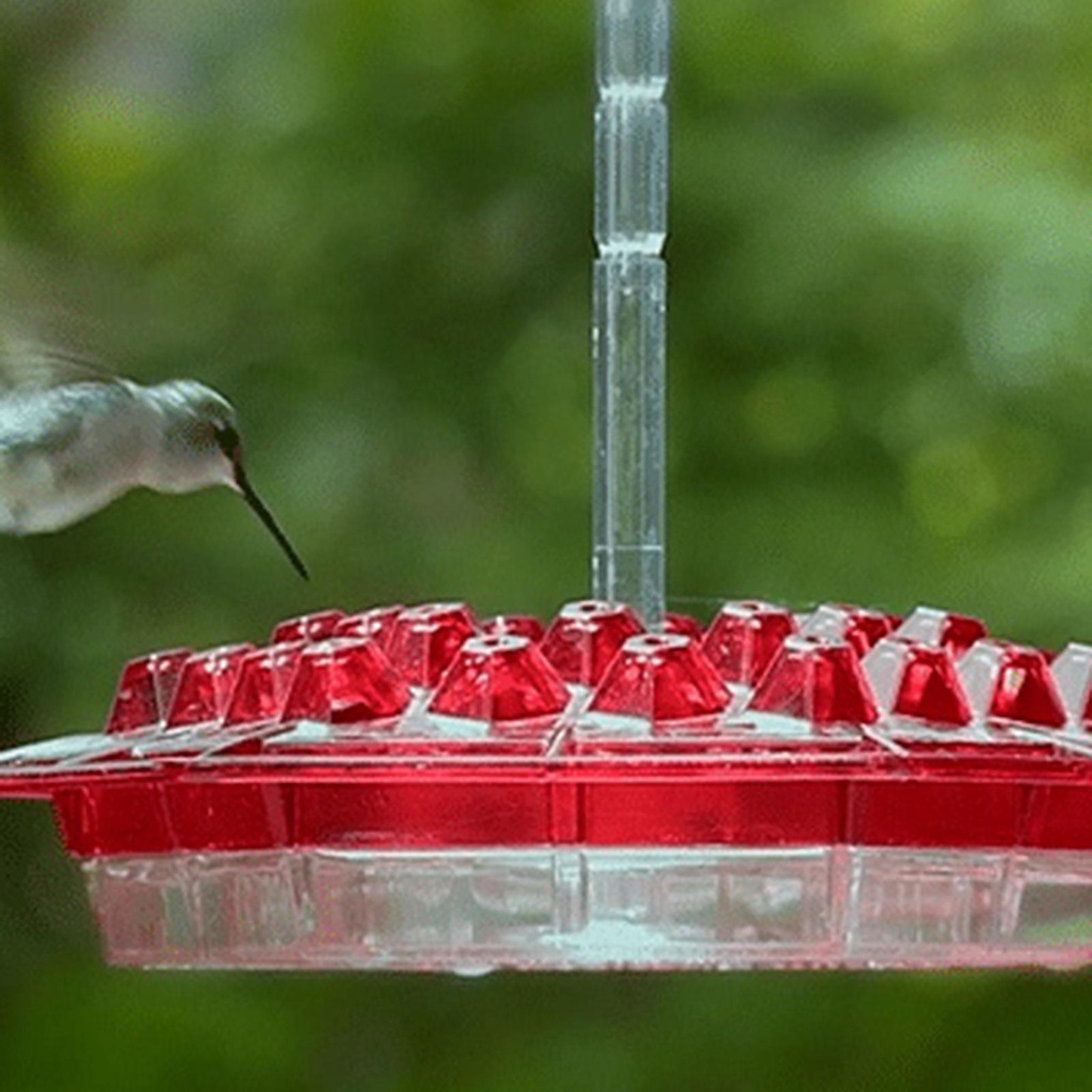 Suyo Tempat Makan Burung Kolibri Bentuk Heksagonal Mudah Dibersihkan Untuk Outdoor