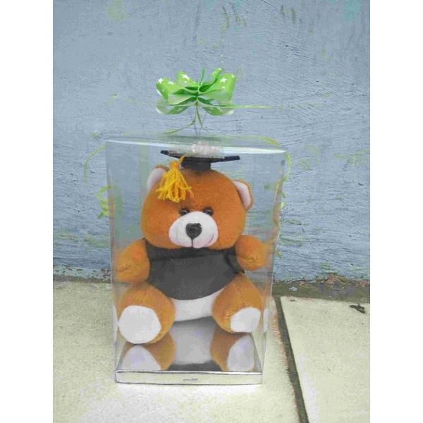 

kemasan kotak mika souvenir 10x10x15