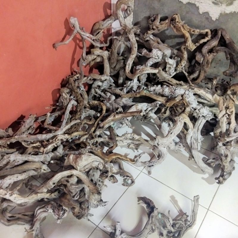 akar santigi kayu santigi sentigi akar tenggelam kayu tenggelam aquascape dangkel hardscape paludari