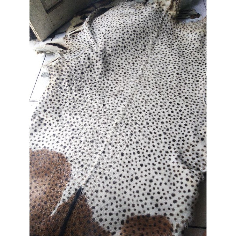 kulit kambing motif harimau citah putih macan tiger