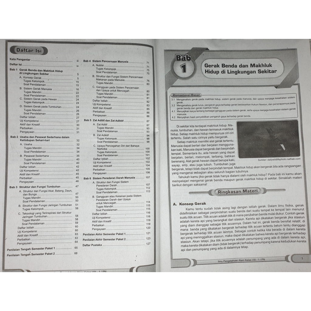 LKS ILMU PENGETAHUAN ALAM/ IPA SMP/ MTS KELAS VIII 8 SEMESTER 1 2022/2023 | Zamrud | CV BUKU PINTAR-3