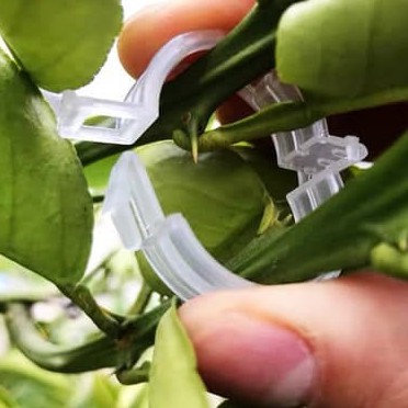 Klip Plastik Holder Tanaman Tomat Tanaman Merambat Klip Pengikat Batang Tanaman Berkebun FEZONE