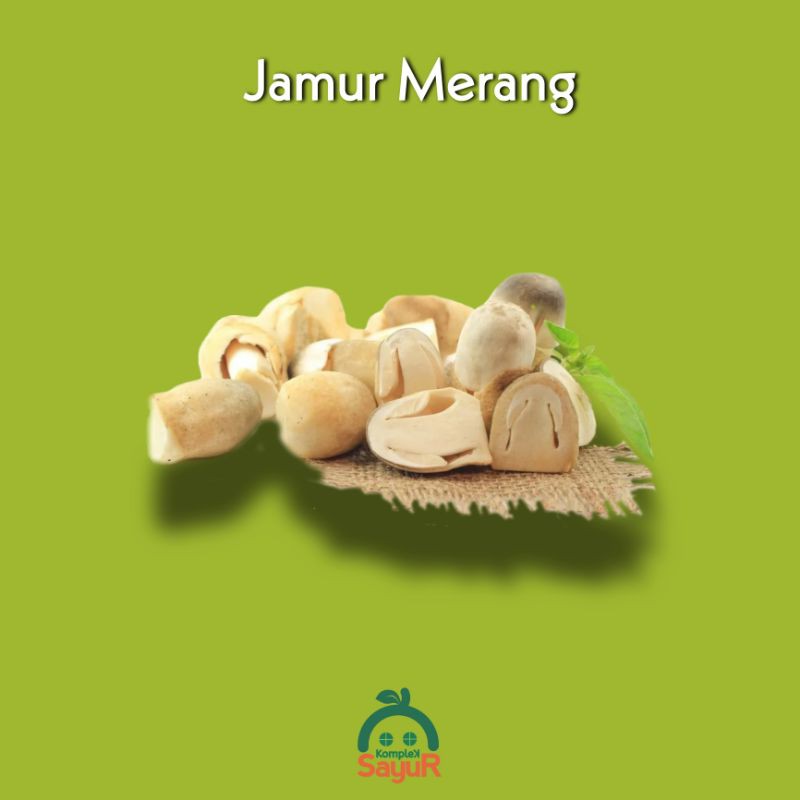 

Jamur Merang / Jamur Bulat Segar