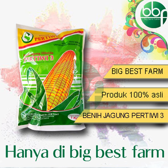 Bibit Jagung Pertiwi 3