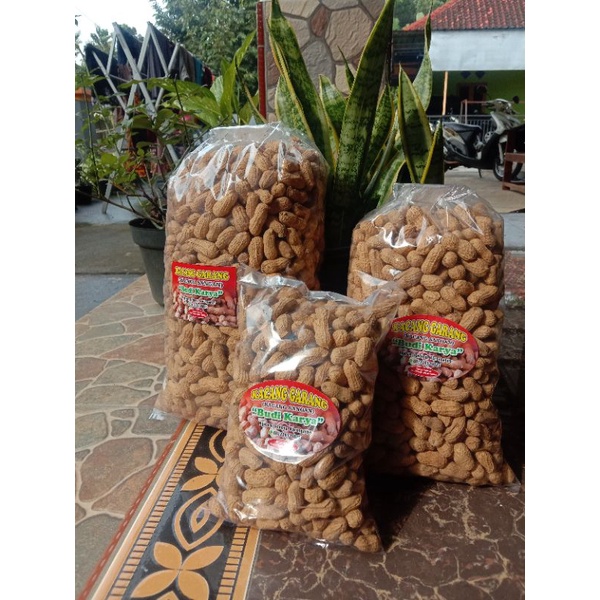 

Kacang kulit-Kacang Garang/Kacang Sangan/Kacang Sangrai