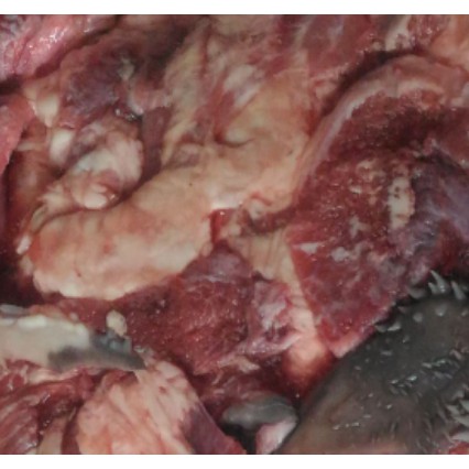 

BOGOR Daging Kepala Pipi Sapi 1kg