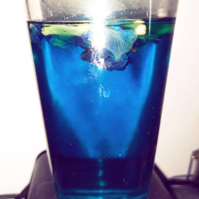 

TEH BIRU BUNGA KEMBANG TELANG BUTTERFLY PEA