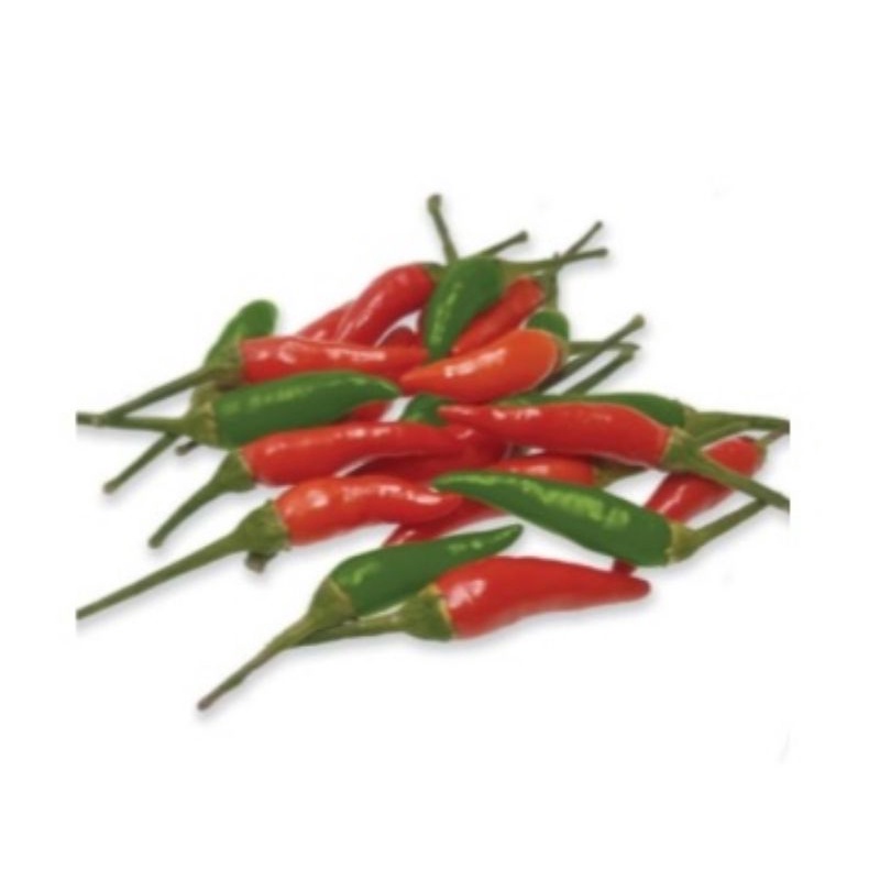 NEW 25 BIJI CABAI RAWIT HIBRIDA (TW) SONAR