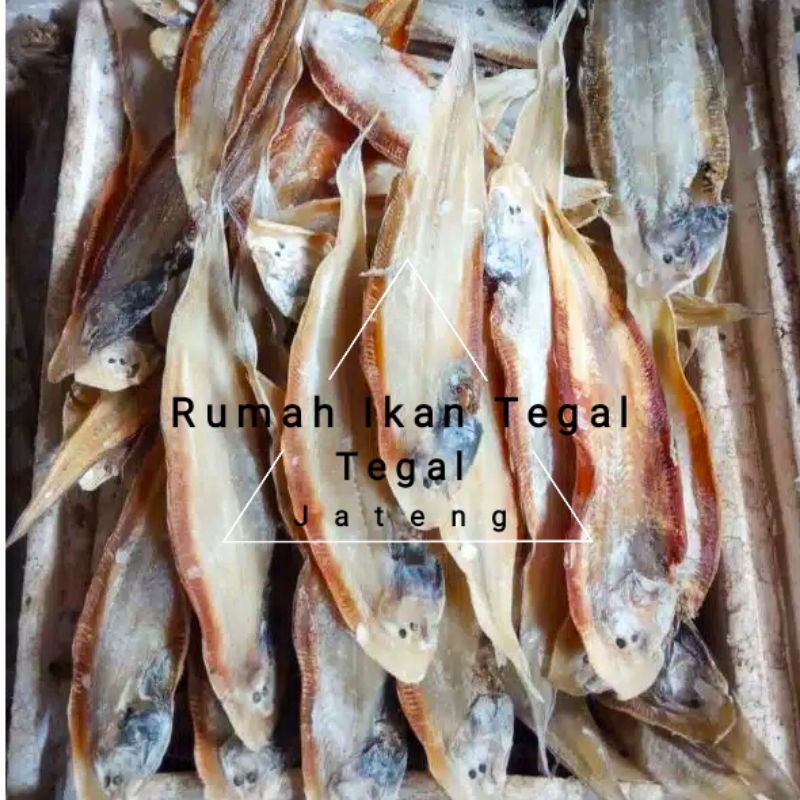 

Ikan Asin Lidah Syailendra Ikan Ilat Ilat