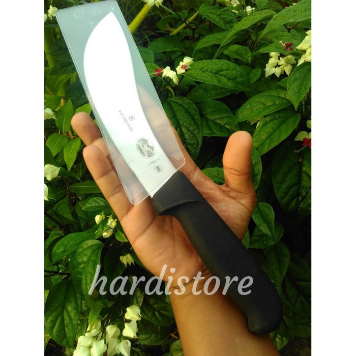 Pisau Seset Kulit - Knife Skinning Seset 15 Tajam Victorinox Pisau - Swiss Original 5.7803 -