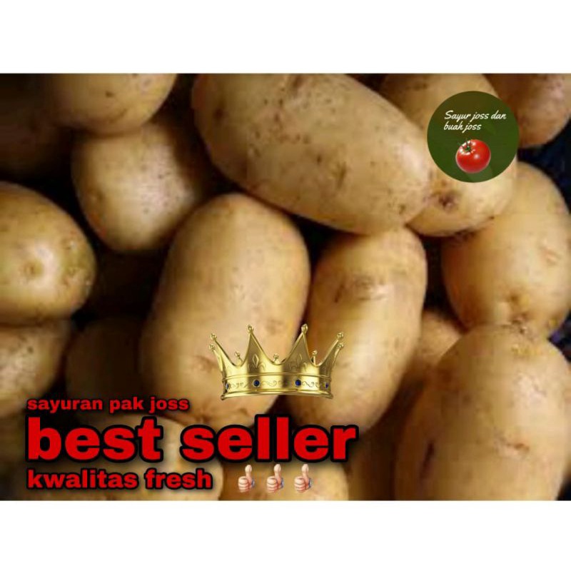 

kentang dieng SUPER 500gr