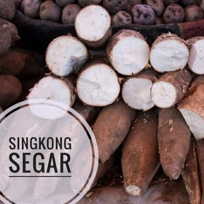 

TERBARU singkong mempur