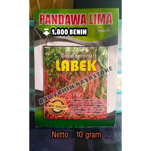 BIBIT CABE KERITING / BENIH CABE KERITING LABEK (PANDAWA LIMA)