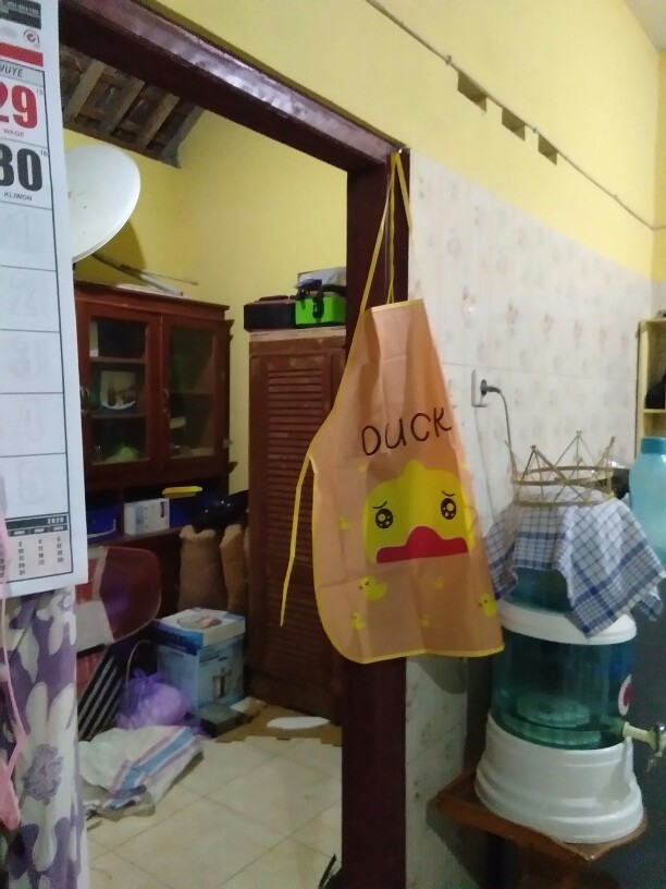 Celemek Masak Anti Air Karakter Hello Kitty Kelinci Panda Bebek Gajah Lebah