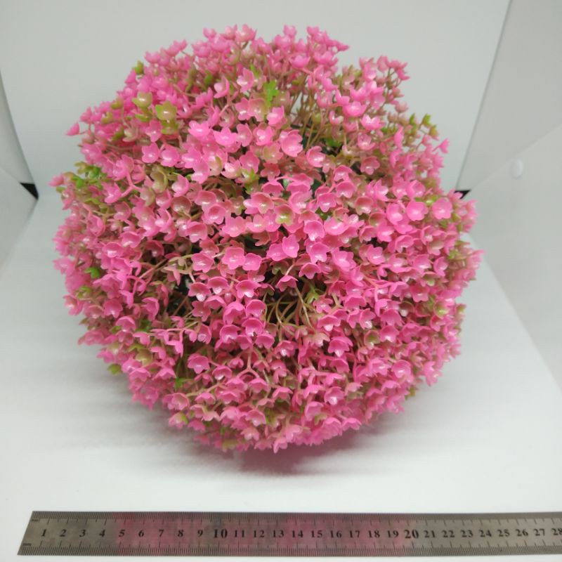 Bunga bonsai bola besar diameter 22cm Grass ball rumput bola bonsai