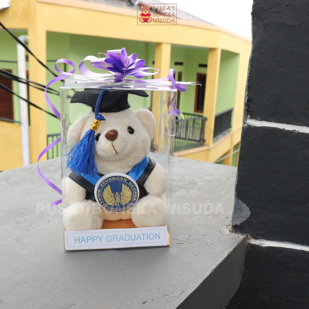 Boneka Wisuda Teddy Bear mini Mika Hadiah Kado Tedy Bear Beruang Graduation TK PAUD SD Grosir Kecil