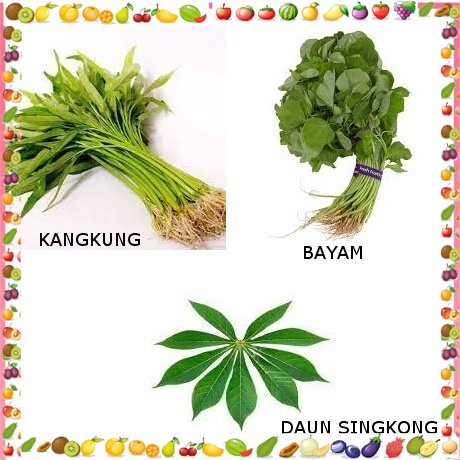 

[Yunko] Sayur Kangkung , Sayur Bayam, Daun Singkong Per Ikat Sayur Mayur Buah Buahan Bersih Fresh Souvenir Cuci Gudang Grosir Promo Cod Gratis Ongkir Oleh Oleh Murah Terlaris Kualitas Bagus