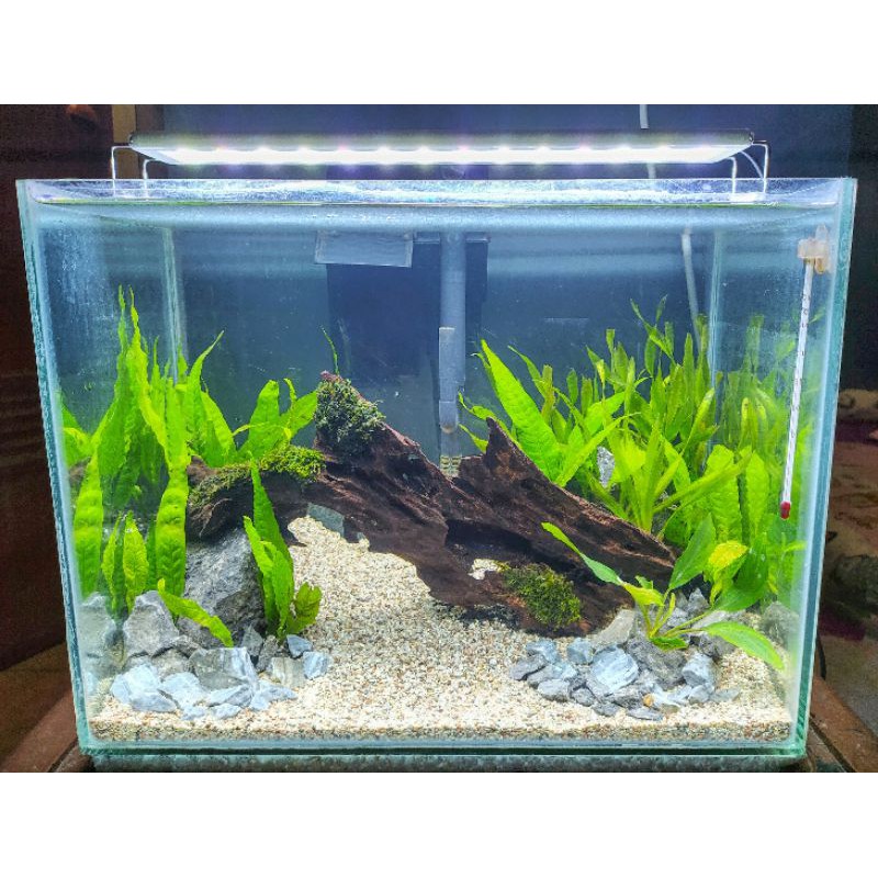 aquascape fullset tema natural ( PO )