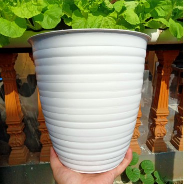 Pot Tawon pirus Putih 25cm
